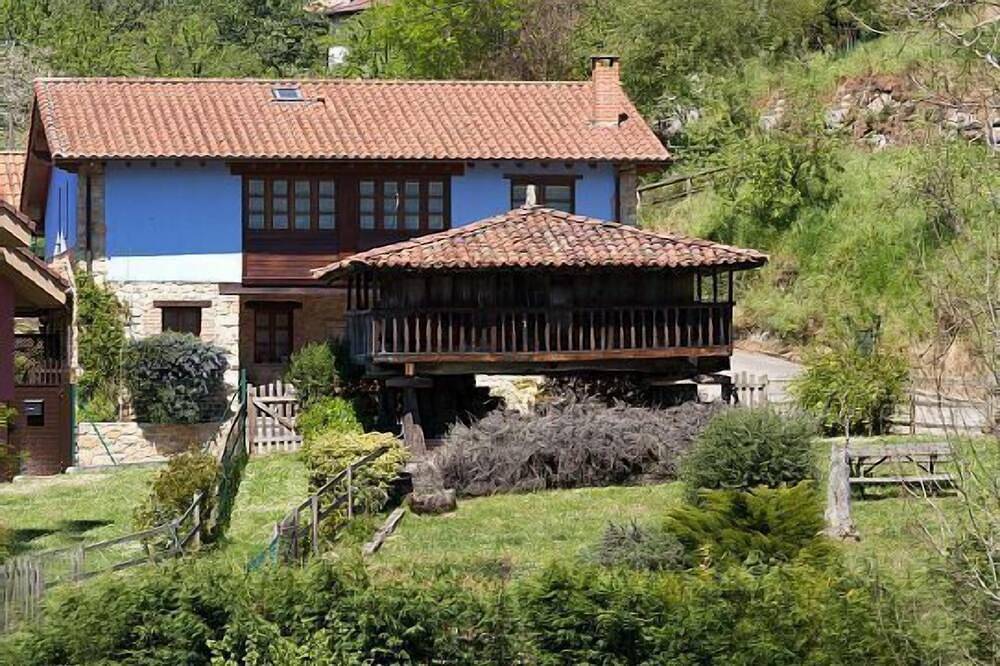Casa con piscina y jardín, entre Picos de Europa y playas de Villaviciosa. in Pruneda, Nava