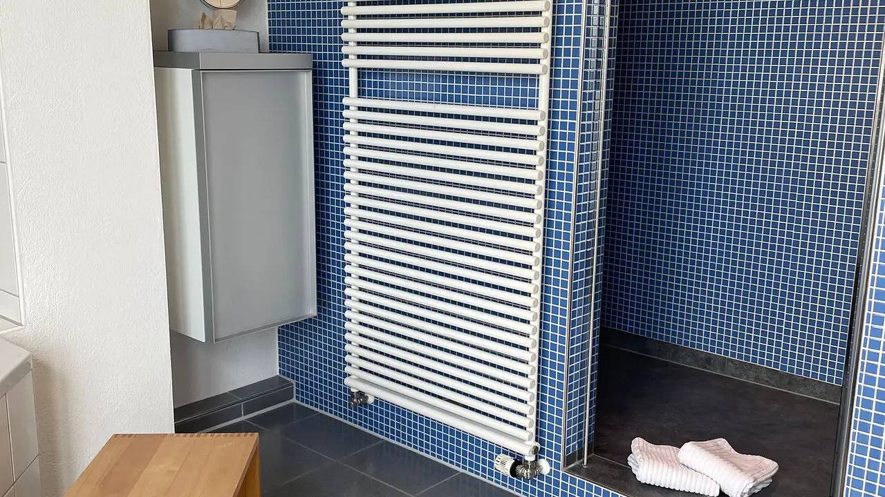 Ferienhaus für 8 Personen (200 m²) in Bodman-Ludwigshafen in Bodman-Ludwigshafen, Obersee (Bodensee)