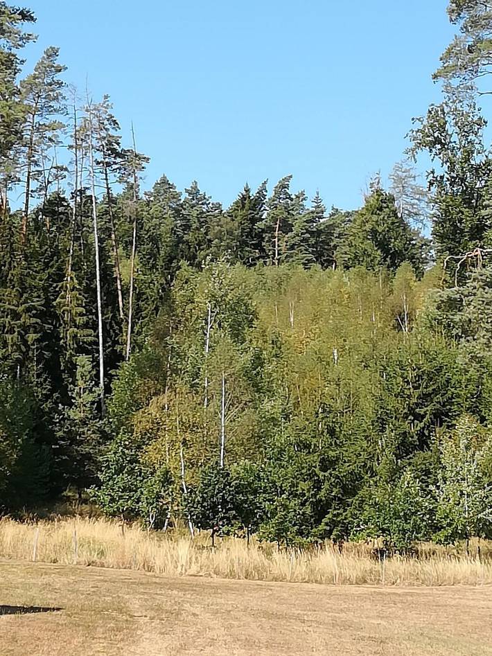 Ferienhaus für 8 Personen, mit Garten, mit Haustier in Fränkisches Seenland - 3