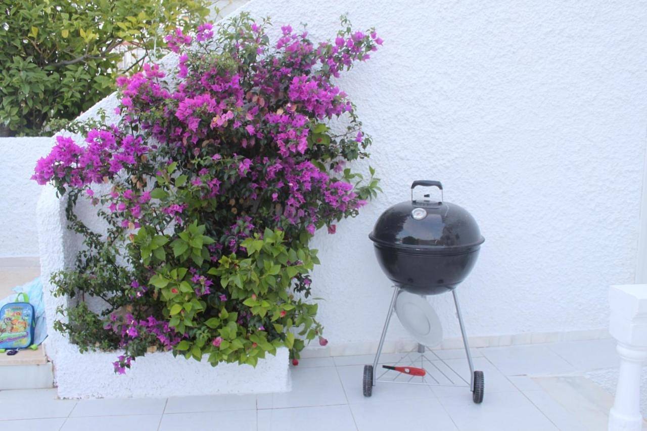 One-Bedroom House in Playa de Cabo Cervera (La Mata), Torrevieja