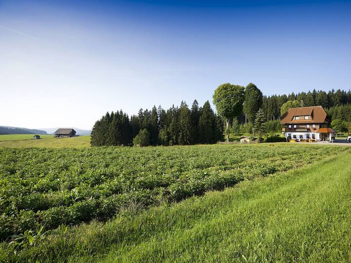 Ferienhaus, mit Balkon/Terrasse und Terrasse sowie Garten in Titisee-Neustadt - 2