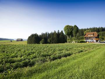 Pension voor 2 Personen in Titisee-Neustadt, Baden-Württemberg, Afbeelding 1