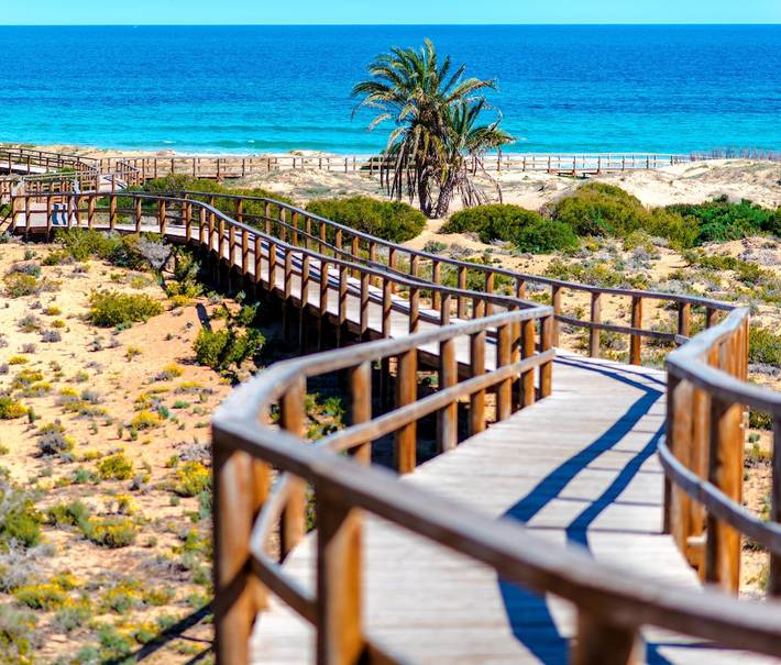Gîte pour 4 personnes, avec terrasse à Elche - 4