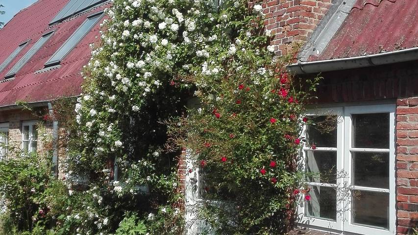 Ferienhaus für 4 Personen, mit Garten, mit Haustier in Nordfriesland - 2
