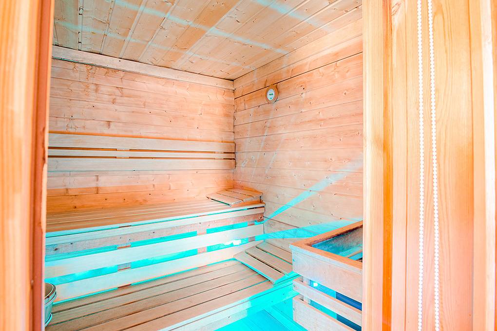 Maison de vacances pour 28 personnes avec sauna in Chatel, Les Portes du Soleil