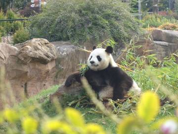Location de vacances pour 5 personnes, avec vue et jardin à Monthou-sur-Cher