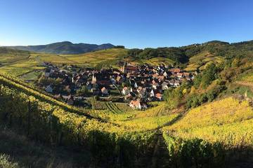 Maison d’hôte pour 5 personnes en Alsace
