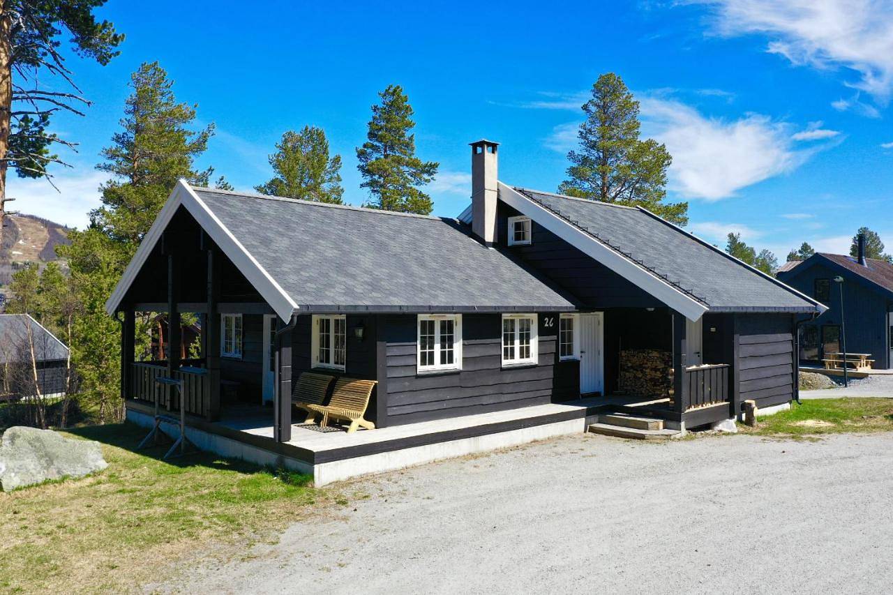 Dream cabin by Geilo, ski-in ski-out with room for the whole family in Geilo, Hol