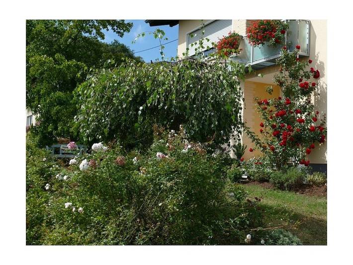 Ferienhaus für 2 Personen, mit Balkon und Garten - 1