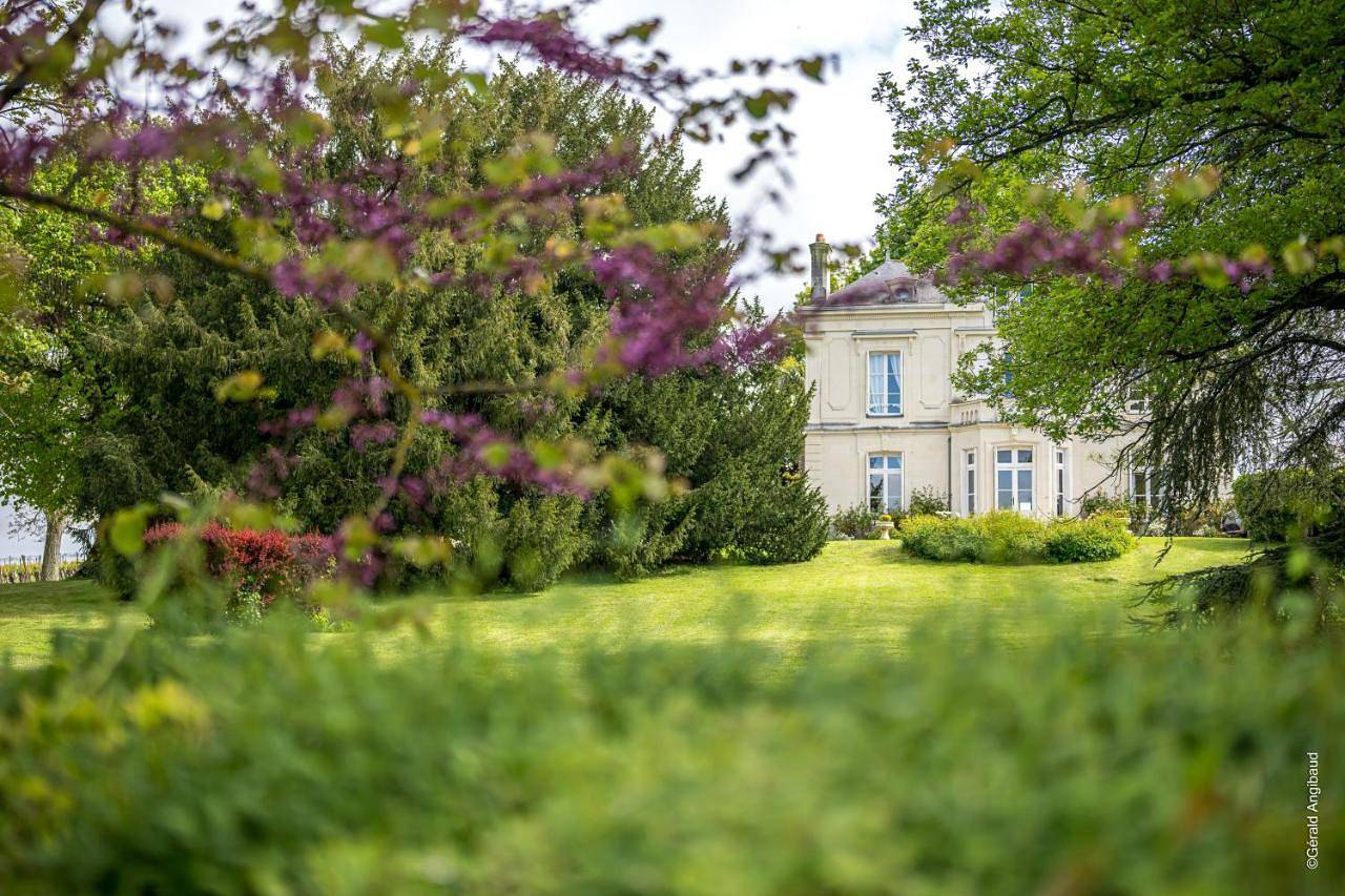 Domaine Beaumont - Vignoble & Maison d'Hôtes Vigneronne in Distré, Vallée de la Loire