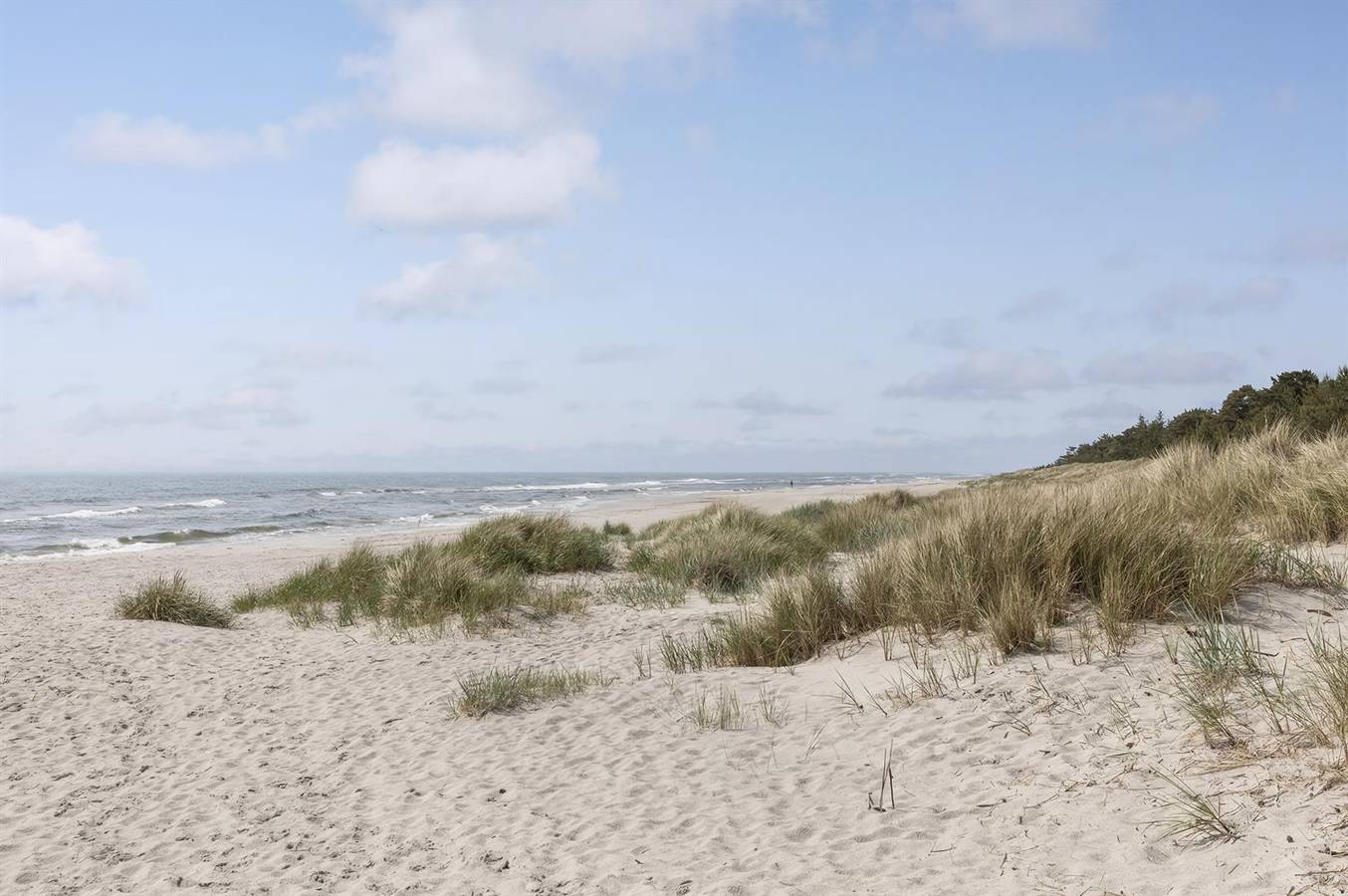 Pet friendly home in Nexø with Wifi in Dueodde, Bornholm