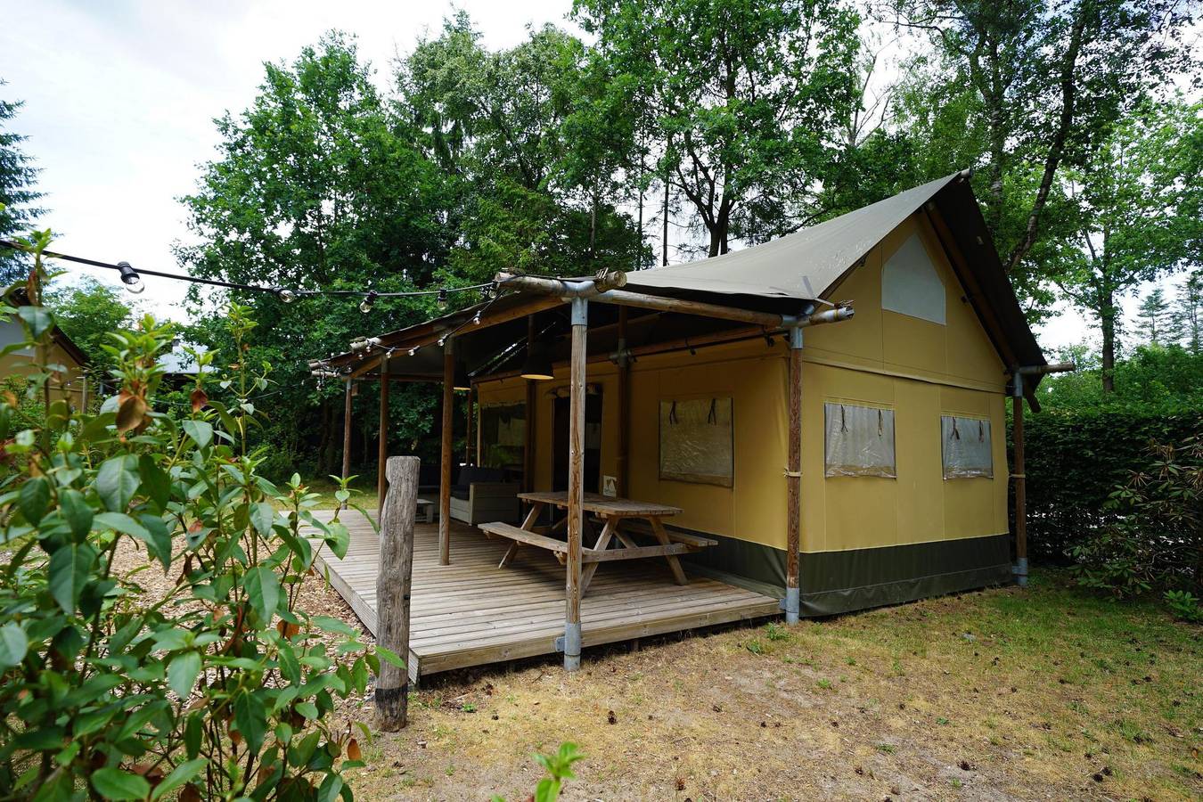 Europarcs De Wije Werelt — Lodgetent 5 in Hoge Veluwe