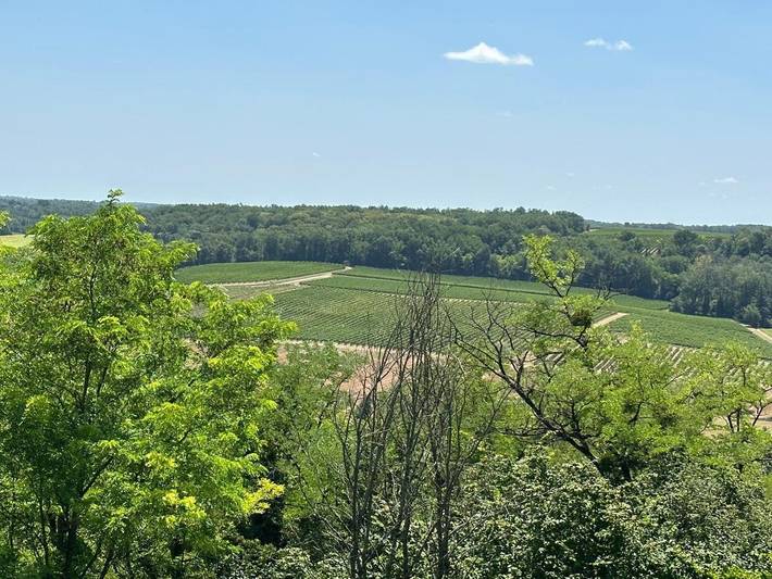 Location de vacances pour 4 personnes, avec jardin ainsi que vue et piscine à Saint-Pey-de-Castets - 2