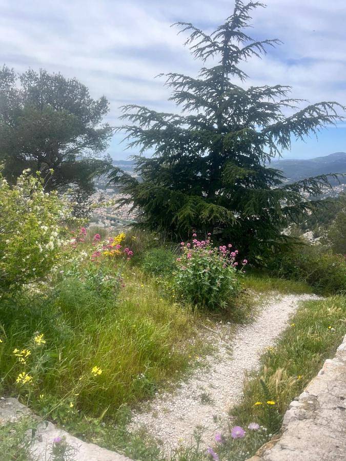 Appartement entier, One-Bedroom Apartment in Toulon, Côte méditerranéenne (France)