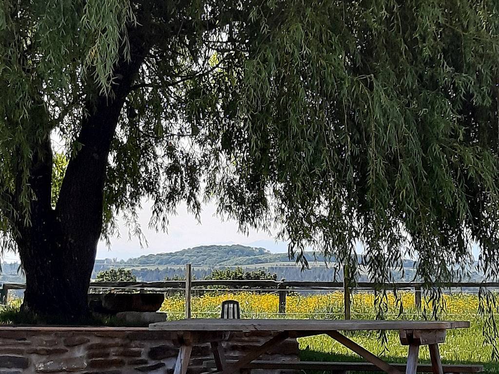 "La Parenthèse", gîtes et chambres d'hôtes - Chambre Urdina in Bardos, Région de Bayonne