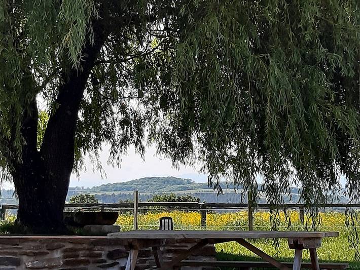 Chambre d’hôte pour 4 personnes, avec jacuzzi et jardin en Pyrénées-Atlantiques - 3