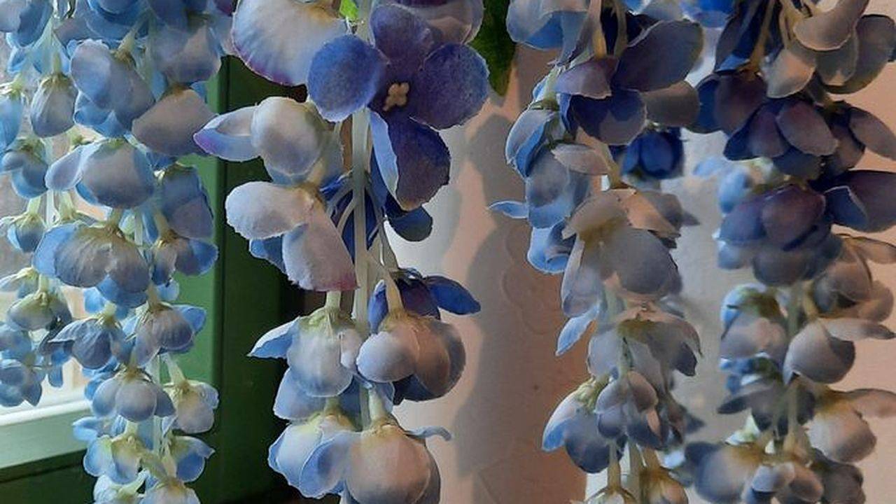 Ganze Ferienwohnung, Ferienwohnung für 6 Personen (114 m²) in Hohnstein in Hohnstein, Elbsandsteingebirge