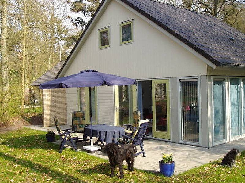 Vakantiefriesland — Holiday home Oudemirdum in the middle of the Gaasterland forests in Lake Ijssel