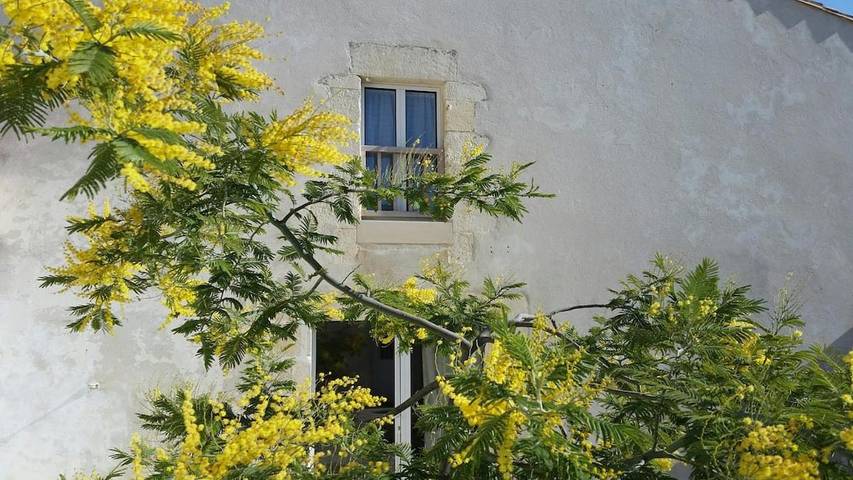 Holiday home for 4 people, with terrace - 1