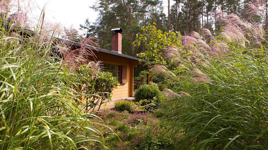 Ferienhaus für 4 Personen, mit Garten und Terrasse in der Lüneburger Heide - 2