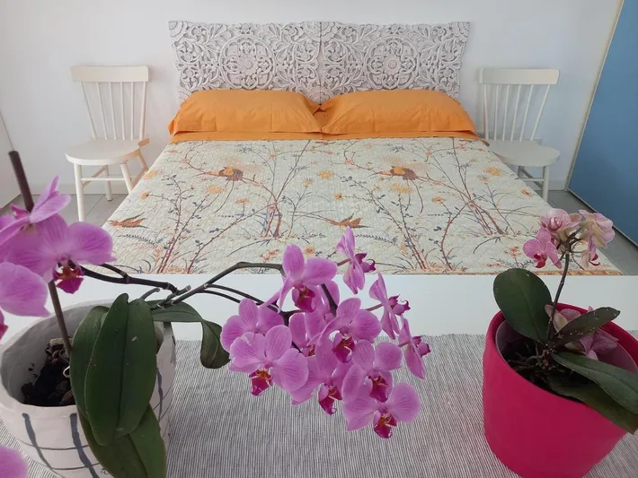 Appartement de vacances pour 4 personnes, avec jardin - 1