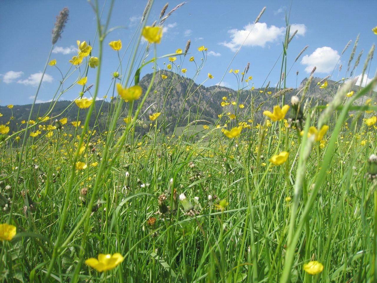 Ganze Ferienwohnung, Ferienwohnung Rotspitze in Bad Oberdorf, Bad Hindelang