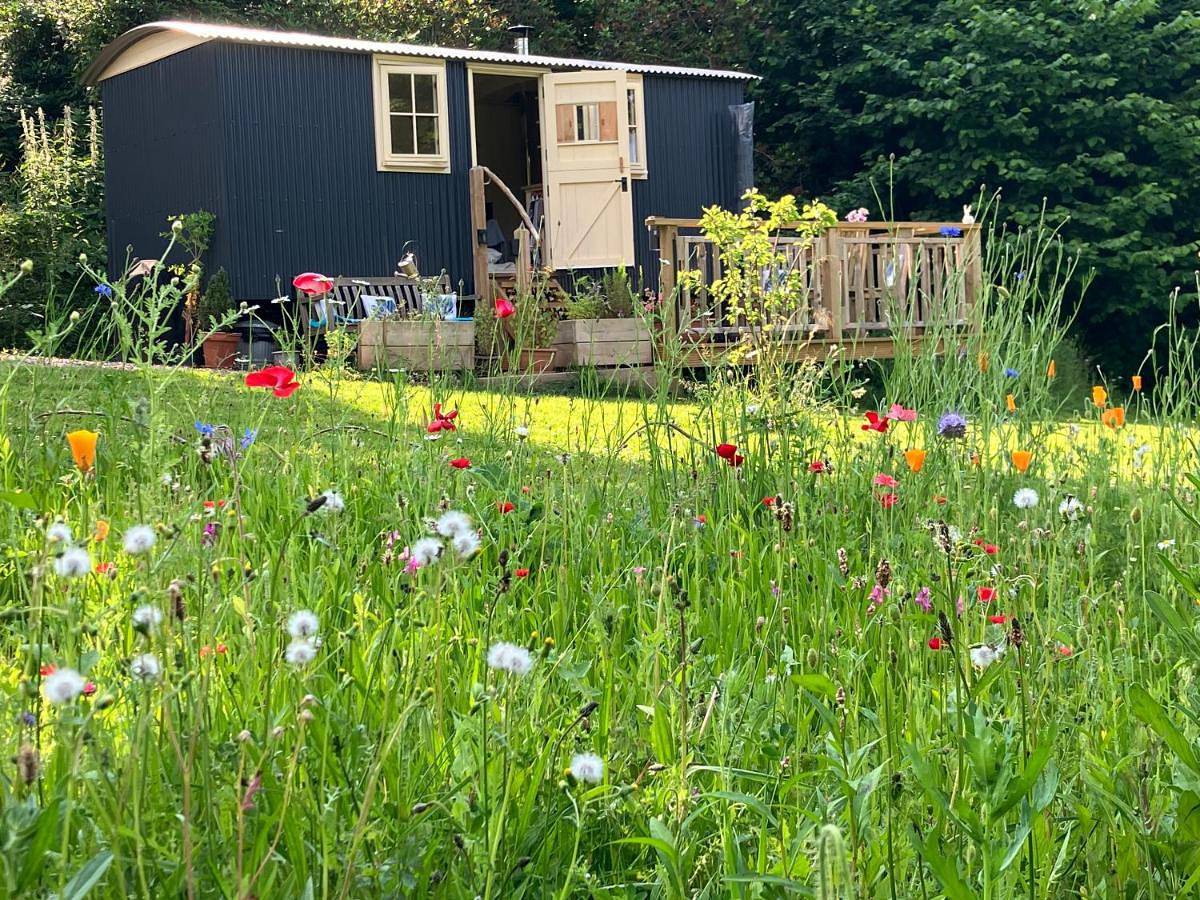 Annes hatch hut in Fernhurst, South Downs