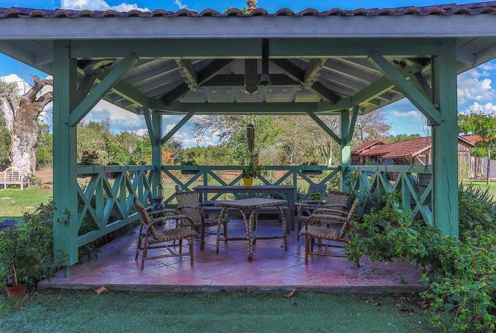 Maison de vacances pour 18 personnes, avec jardin dans les Landes - 3