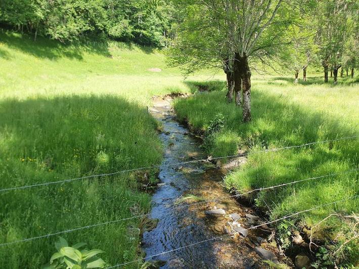 Location de vacances pour 3 personnes, avec terrasse et jardin, animaux acceptés à Montpeyroux (Midi-Pyrénées) - 3
