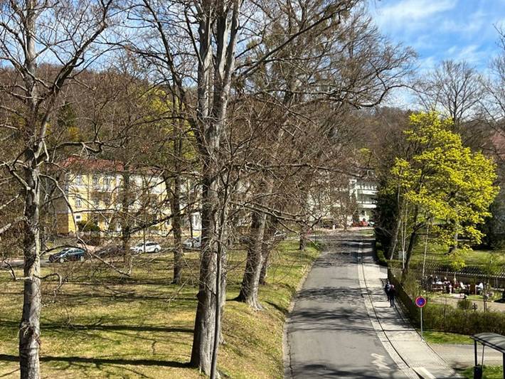 Ferienwohnung für 2 Personen, mit Haustier in Bad Liebenstein - 4