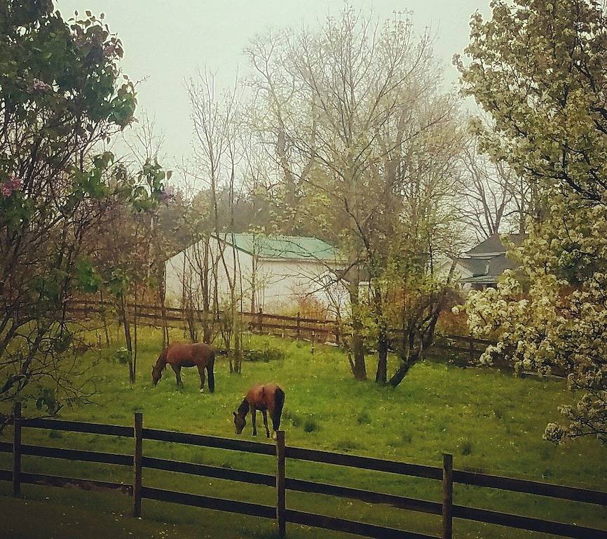 Bonnies Gästehaus @ Peridot Equine Sanctuary in Geauga County