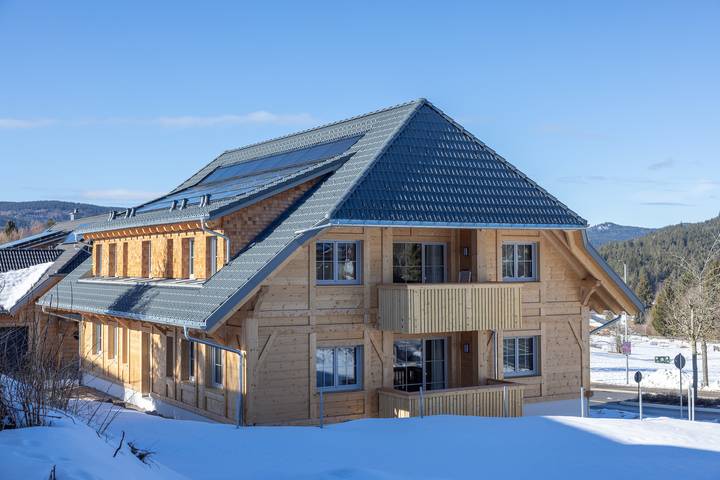 Gîte pour 6 personnes, avec sauna et terrasse à Schluchsee - 2