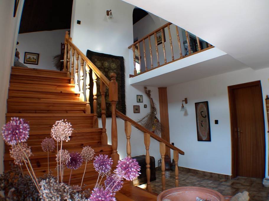Ferienhaus in Kukljica mit Meerblick, Terrasse, Klimaanlage, W-Lan (4572-1) in Kukljica, Uglijan