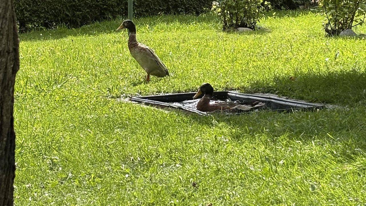 Ganze Ferienwohnung, Ferienwohnung für 3 Personen (45 m²) in Umhausen in Stubaier Alpen, Umhausen