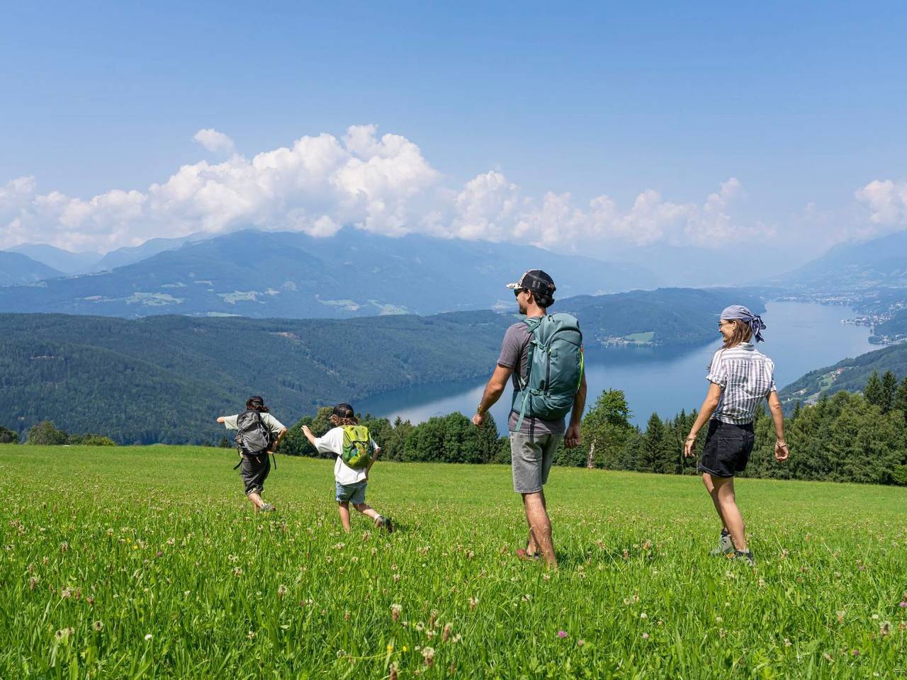 Ganze Wohnung, Esche in Karawanken und Bachergebirge, Feistritz im Rosental