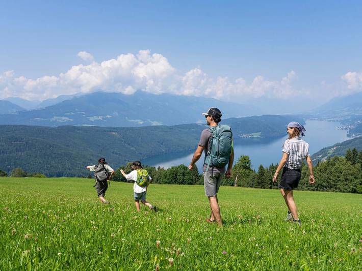 Ganze Wohnung, Esche in Karawanken und Bachergebirge, Feistritz im Rosental