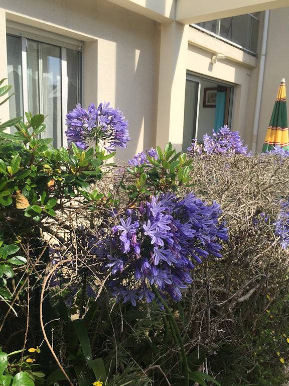 Appartement de vacances pour 2 personnes, avec terrasse