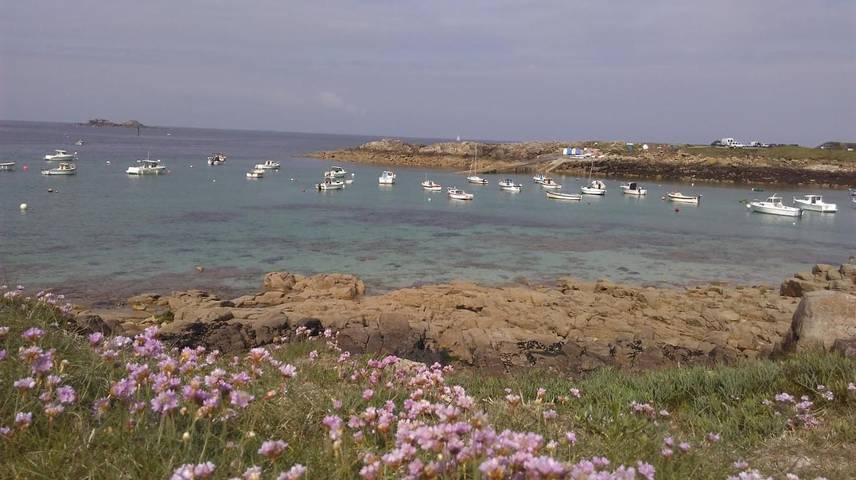 Gîte pour 3 personnes, avec jardin à Lampaul-Plouarzel - 4