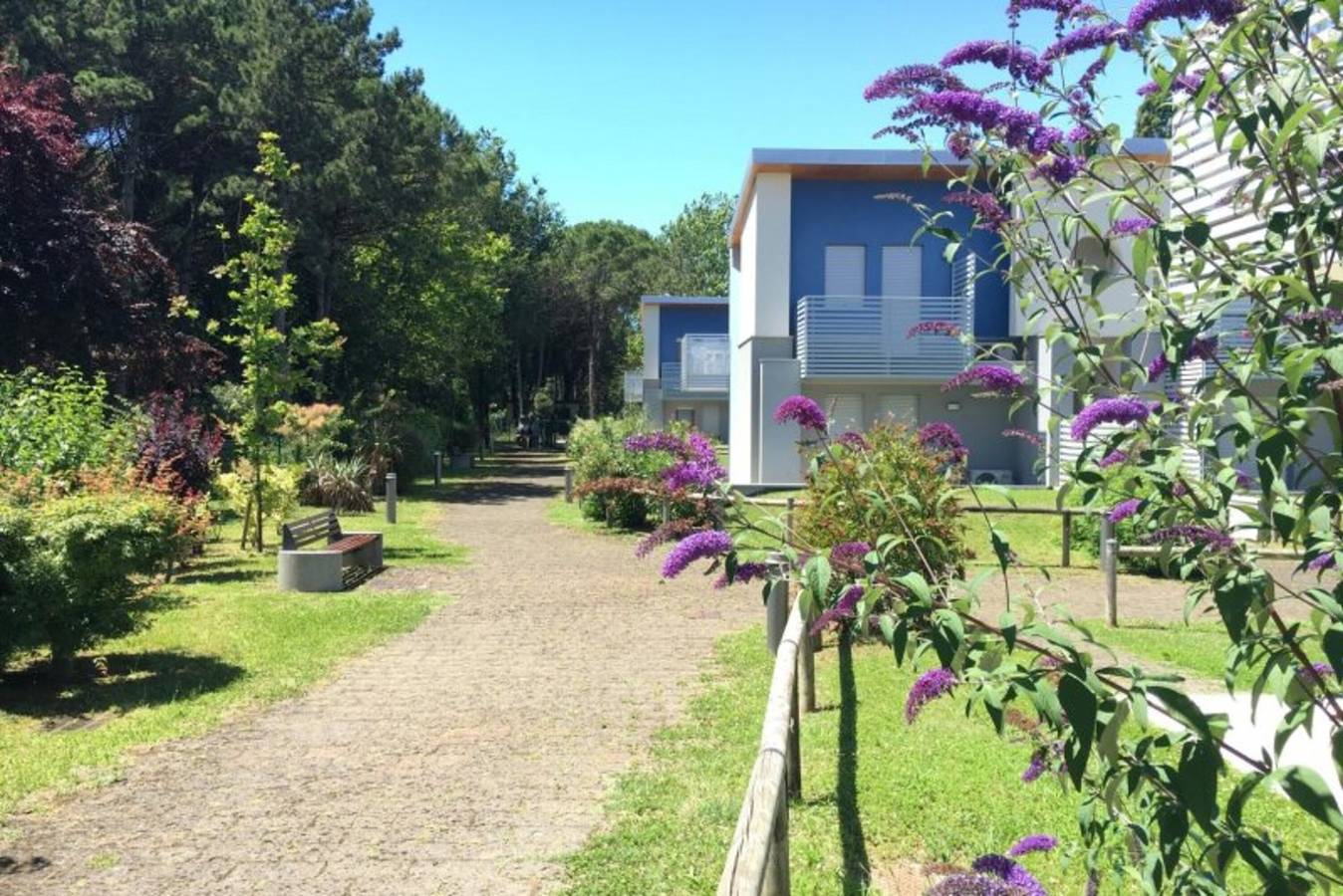 Ganze Wohnung, Schöne Wohnung im ersten Stock in Küstennähe-Bibione in Bibione, San Michele al Tagliamento