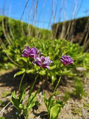 Holiday Rental for 10 People in Chester (Nova Scotia), Nova Scotia, Photo 3