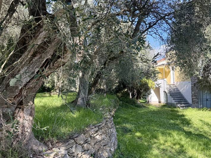 Ferienwohnung für 2 Personen, mit Terrasse und Garten in Dolcedo - 3