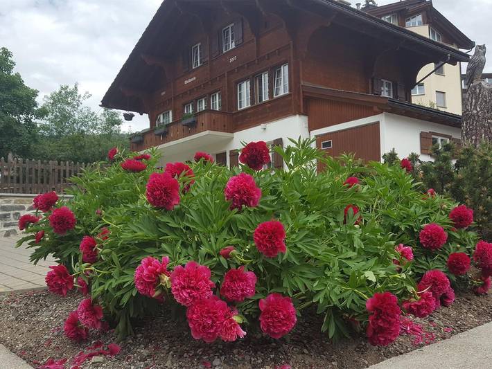 Ferienwohnung für 4 Personen, mit Terrasse und Garten in Graubünden - 3