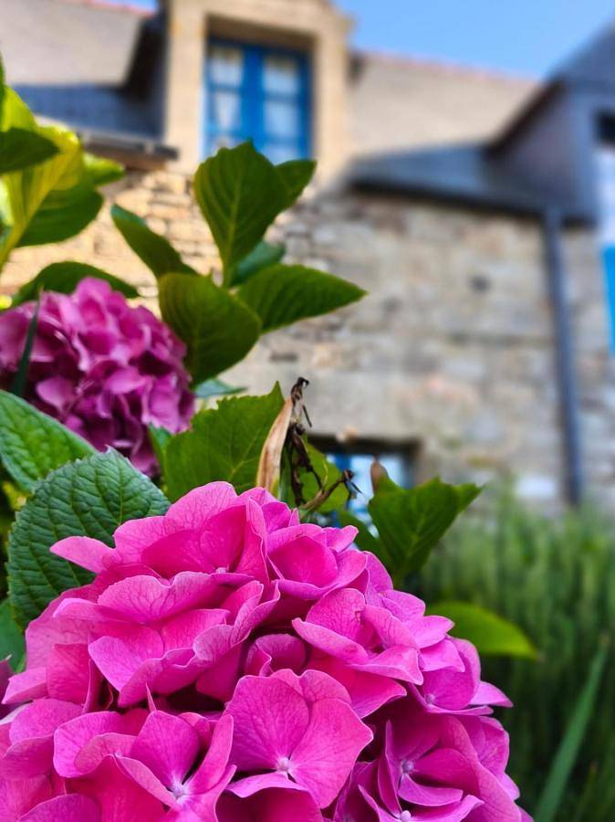 Manoir Des Douets Fleuris in Cancale, Baie du Mont-Saint-Michel