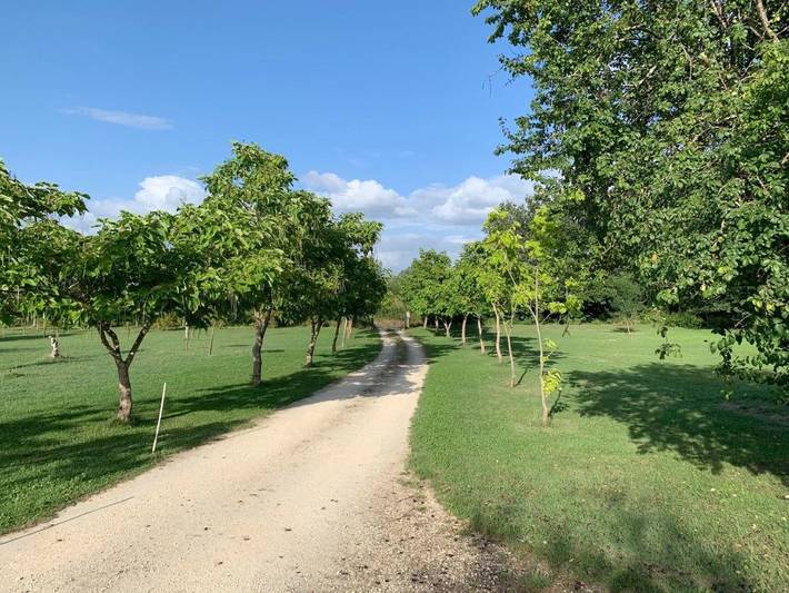 Maison de vacances pour 6 personnes, avec vue ainsi que jardin et piscine dans le Lot-et-Garonne - 4