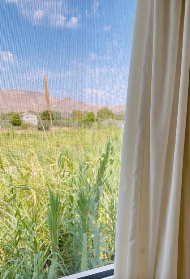 Location de vacances pour 3 personnes, avec terrasse et jardin, animaux acceptés dans Σκάλα Ερεσού - 3