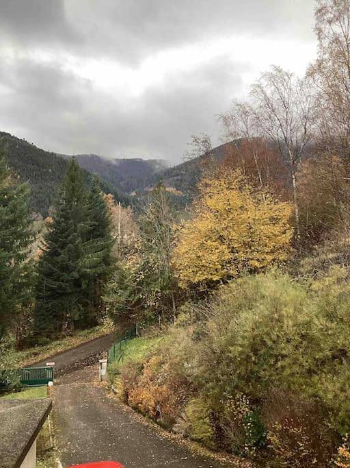 Gîte pour 3 personnes, animaux acceptés à Fellering - 2