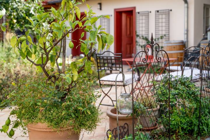 Ferienhaus für 3 Personen, mit Garten in Rhön-Bayern - 3