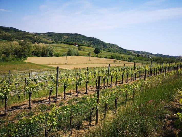 Location de vacances pour 2 personnes, avec jardin et terrasse à Prepotto - 4