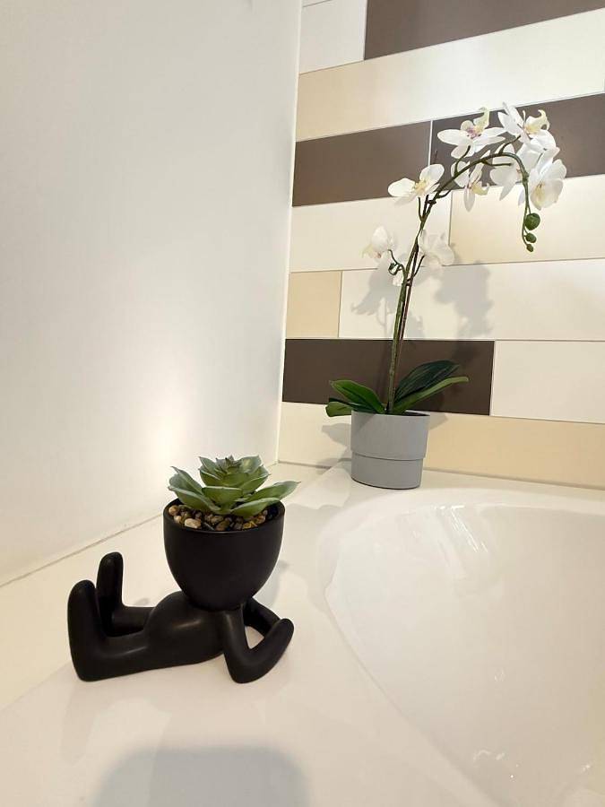 Ferienhaus für 5 Personen, mit Garten und Whirlpool, mit Haustier in Bad Saarow - 3