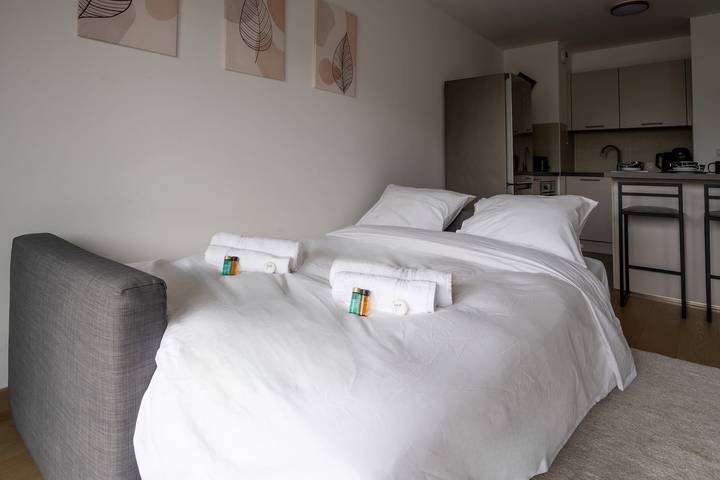 Entire apartment, Appartement Marceau - Welkeys in Vanves, Hauts-de-Seine